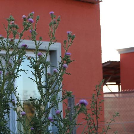 La Narcisa Villa Pehuajo Buitenkant foto