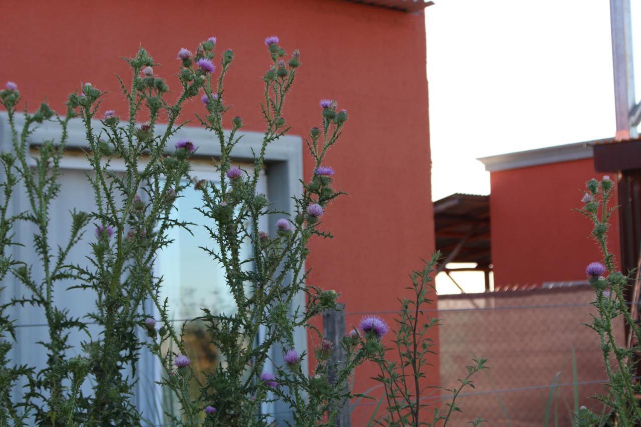 La Narcisa Villa Pehuajo Buitenkant foto
