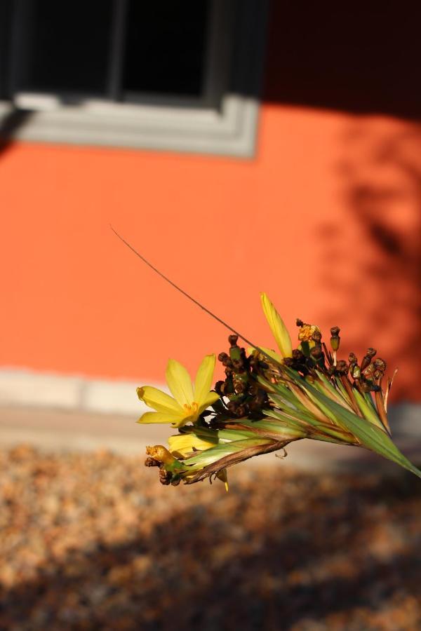 La Narcisa Villa Pehuajo Buitenkant foto