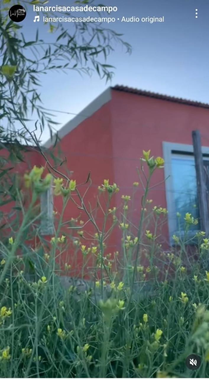 La Narcisa Villa Pehuajo Buitenkant foto