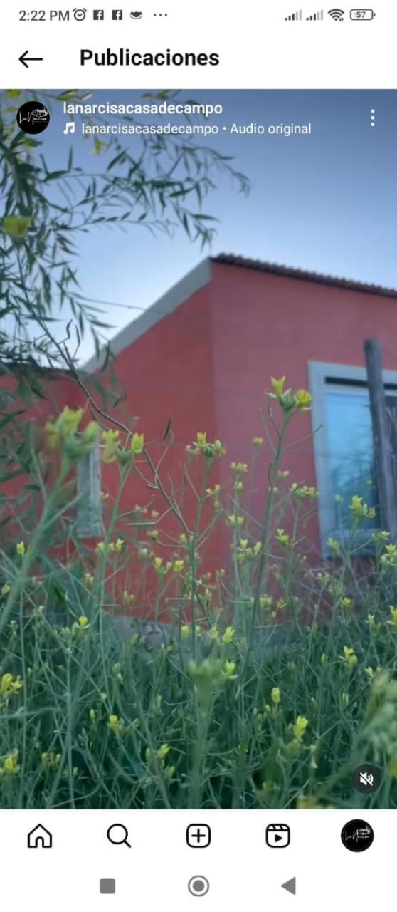 La Narcisa Villa Pehuajo Buitenkant foto